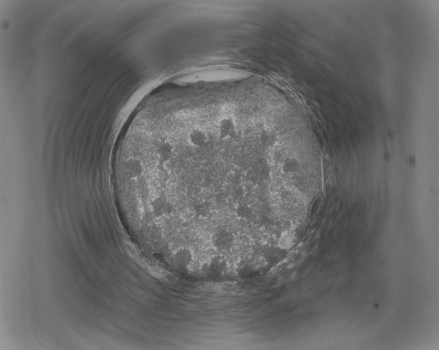 X0000079290147200612151710