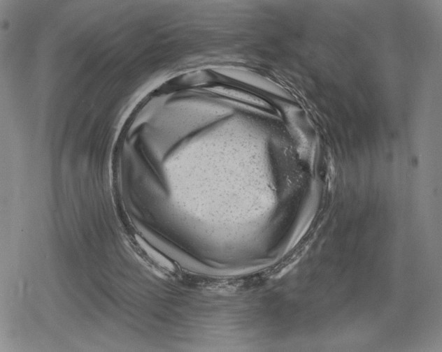 X0000079290148200612151710