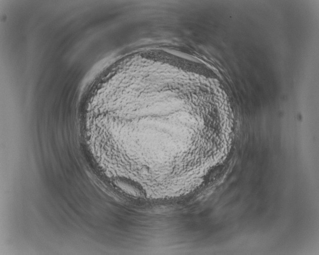 X0000079290149200612151710