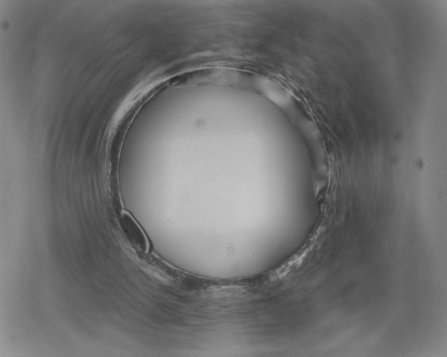 X0000079290150200612151711