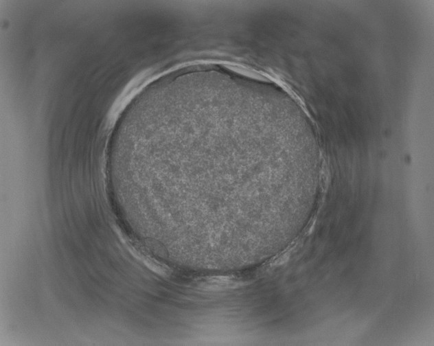 X0000079290151200612151711