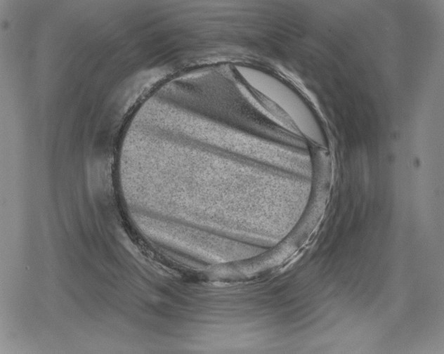 X0000079290154200612151711