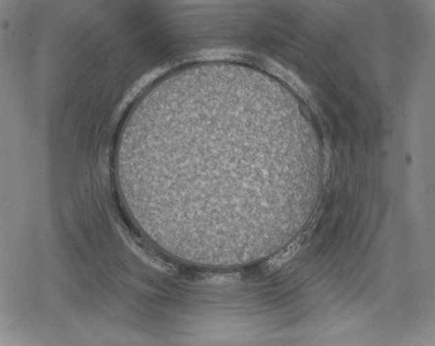 X0000079290155200612151711