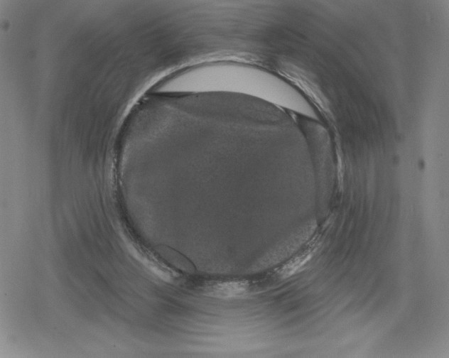 X0000079290156200612151711