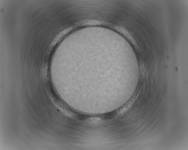 X0000079290159200612151711