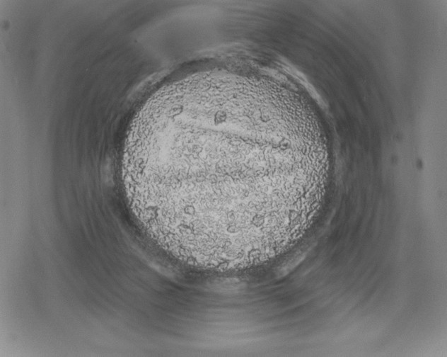 X0000079290161200612151711