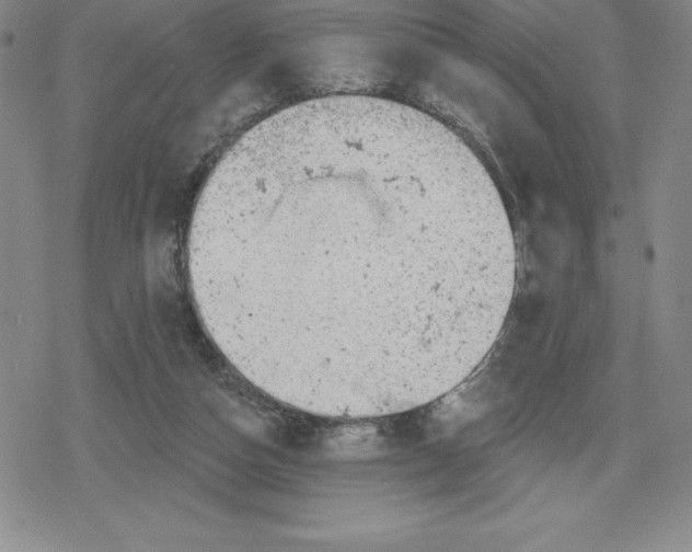 X0000079290162200612151711