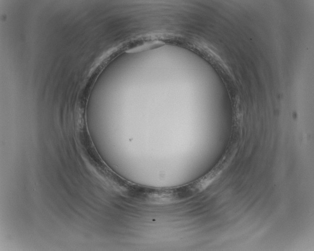 X0000079290164200612151711