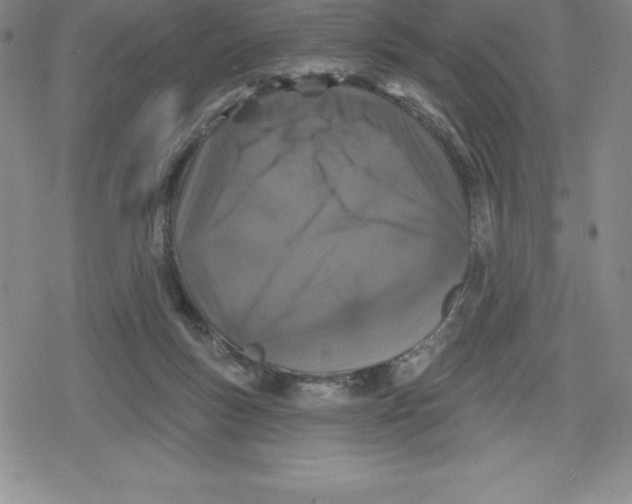 X0000079290167200612151711