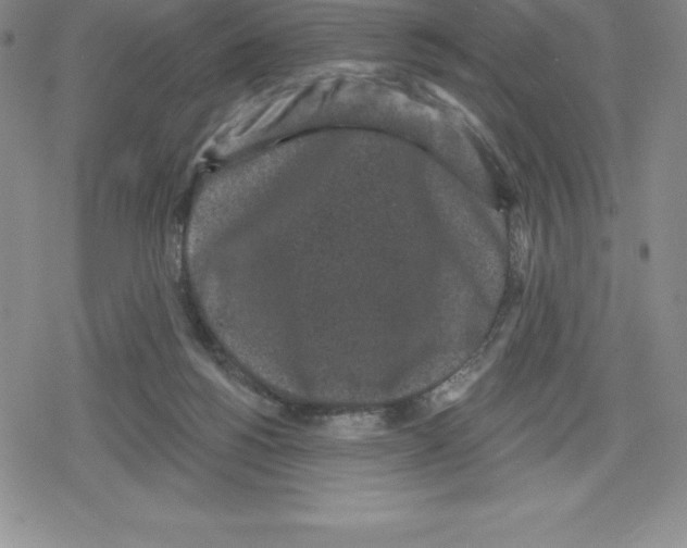 X0000079290168200612151711