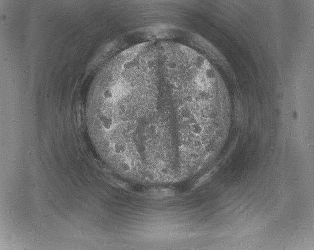 X0000079290169200612151711