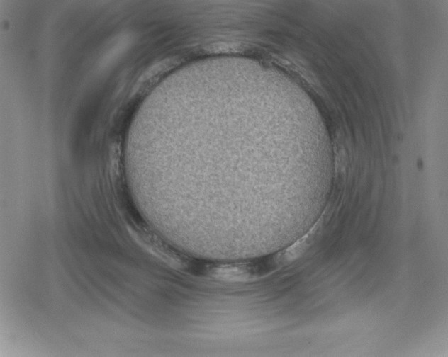 X0000079290171200612151711