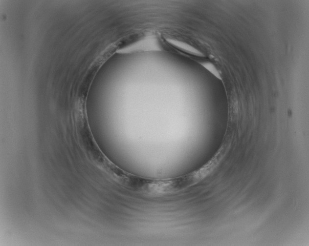 X0000079290172200612151711