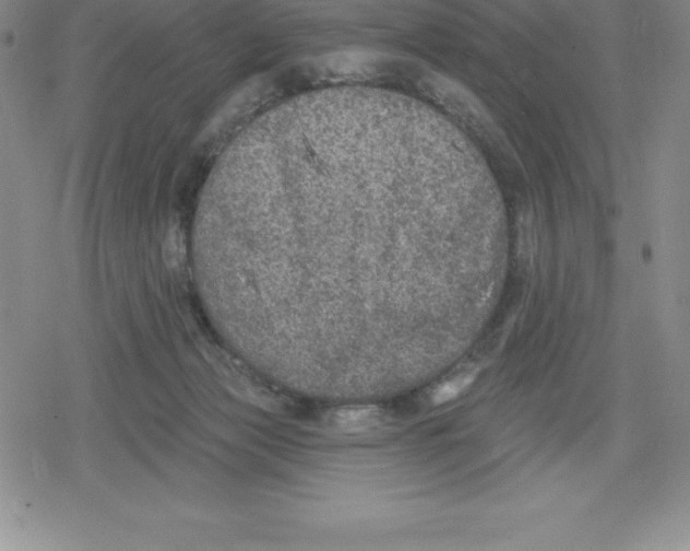 X0000079290173200612151711