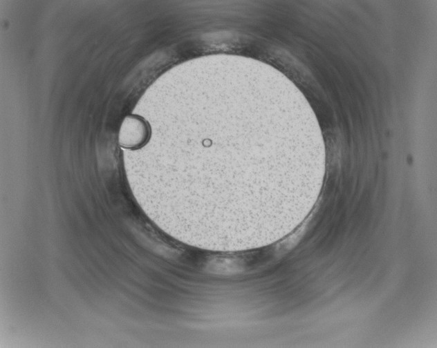 X0000079290174200612151711