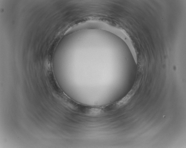 X0000079290176200612151711