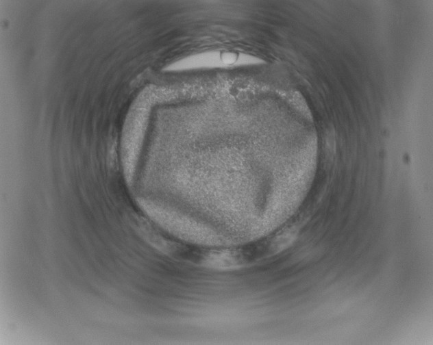 X0000079290177200612151711