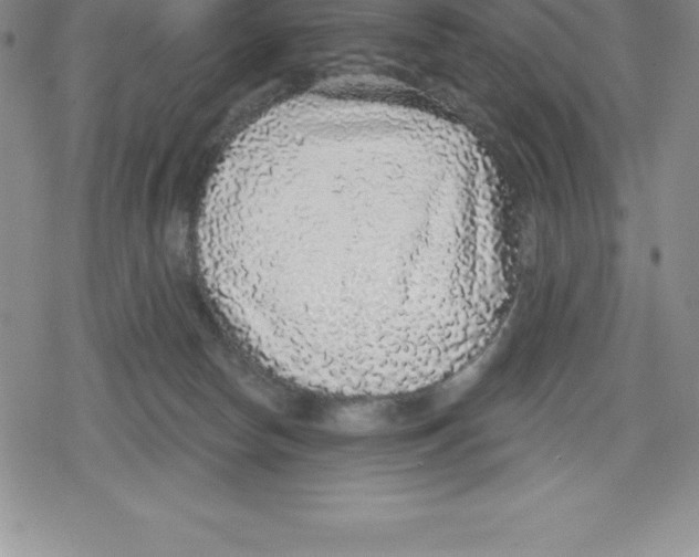 X0000079290178200612151711