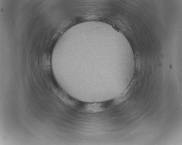 X0000079290179200612151711