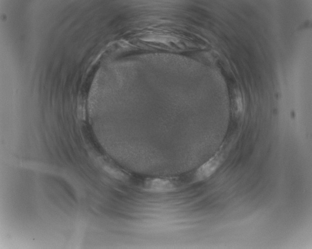 X0000079290180200612151711