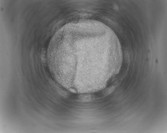 X0000079290181200612151711