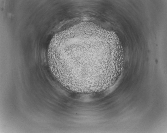 X0000079290182200612151711