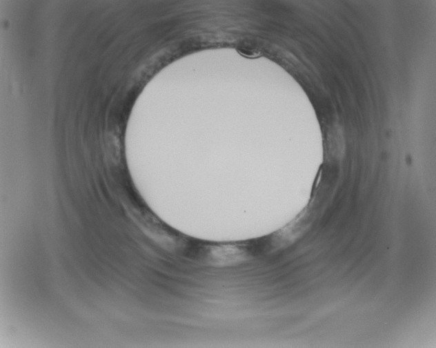 X0000079290183200612151711