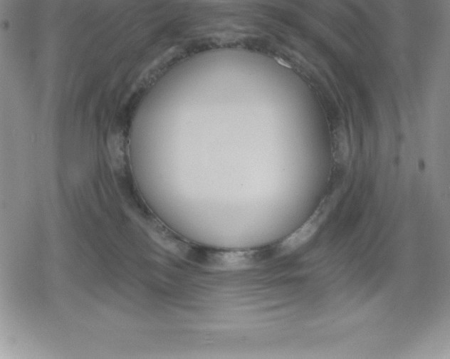 X0000079290184200612151711