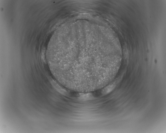 X0000079290185200612151711