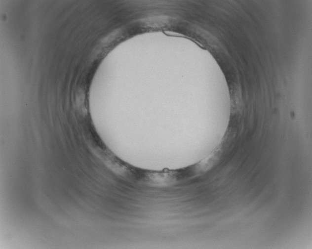 X0000079290187200612151711