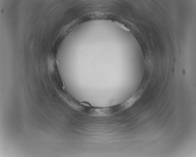 X0000079290188200612151711