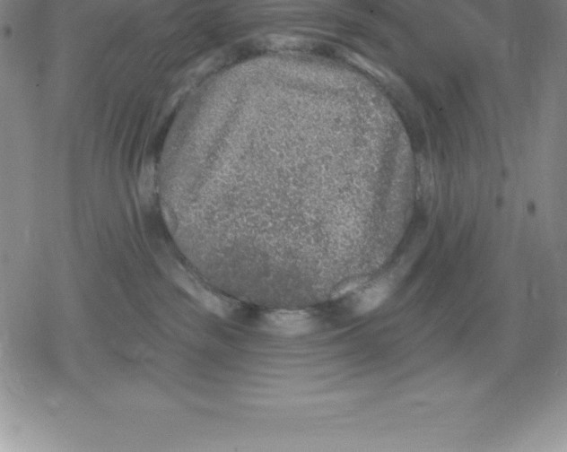 X0000079290189200612151711