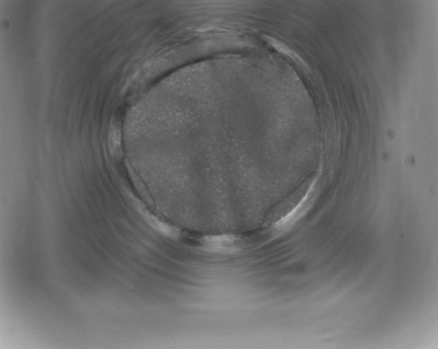 X0000079290192200612151711