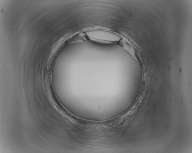 X0000079290193200612151710