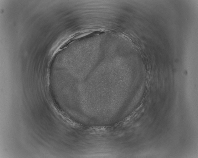 X0000079290194200612151710