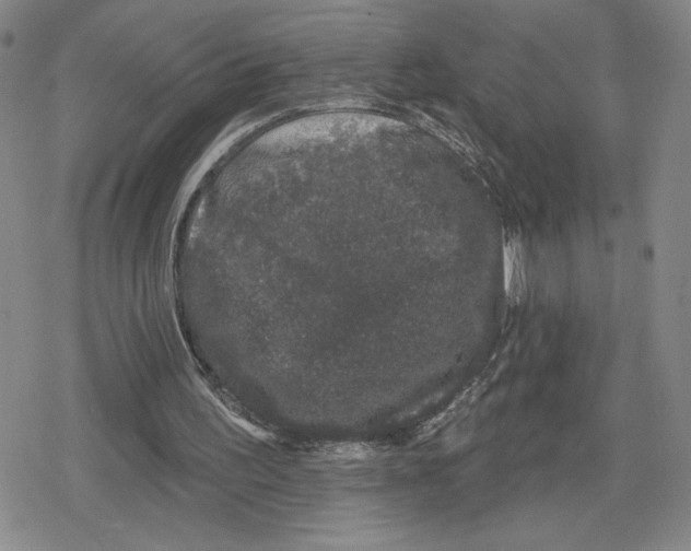 X0000079290195200612151710