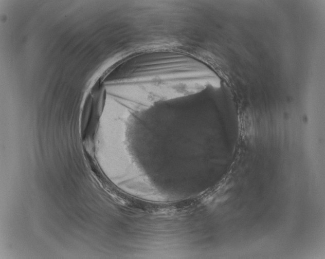 X0000079290196200612151710