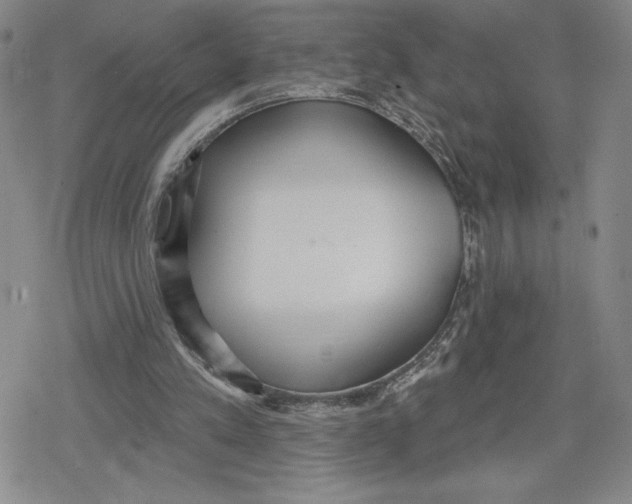 X0000079290197200612151710