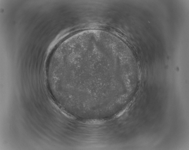 X0000079290198200612151710