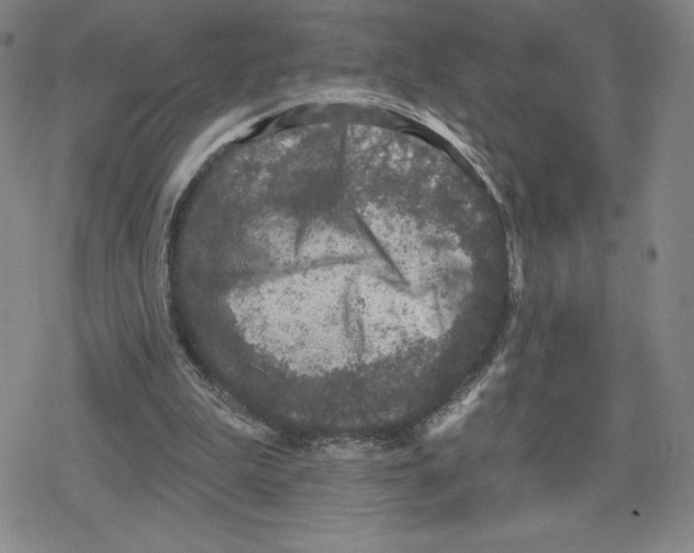 X0000079290199200612151710