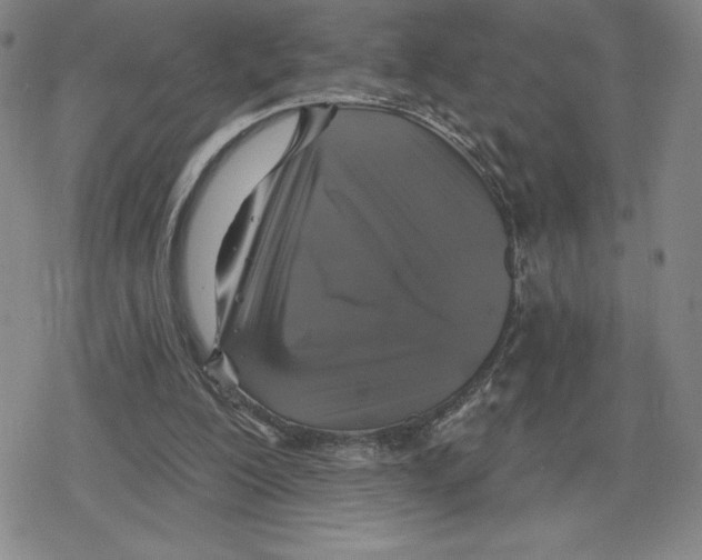 X0000079290200200612151710