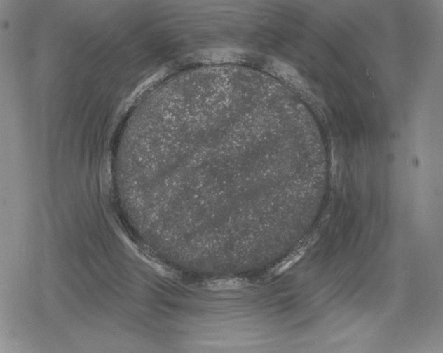 X0000079290202200612151710