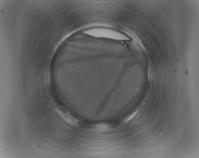 X0000079290204200612151710