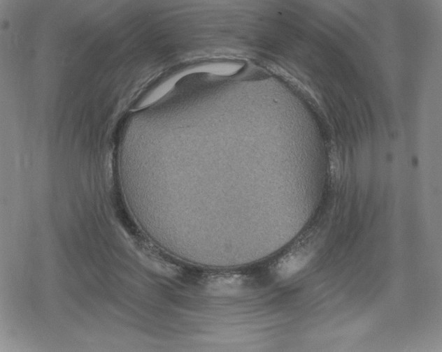 X0000079290206200612151710