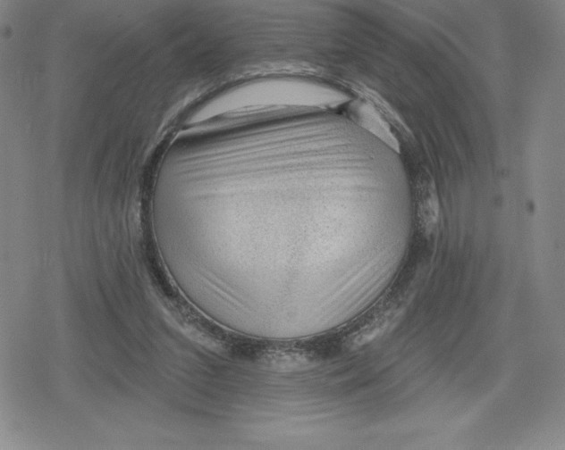 X0000079290207200612151710