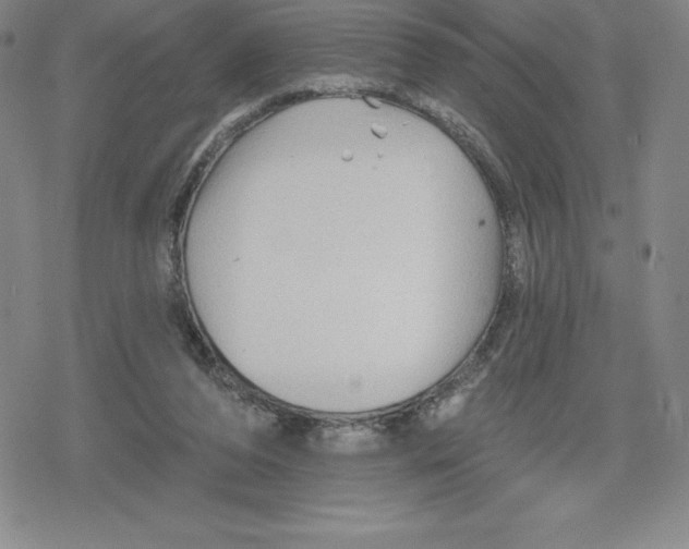 X0000079290208200612151710