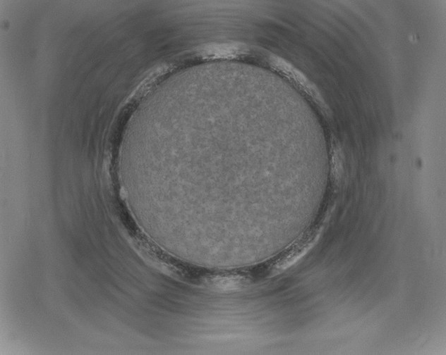 X0000079290209200612151710