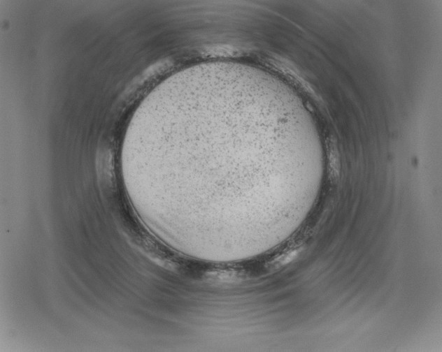 X0000079290211200612151710