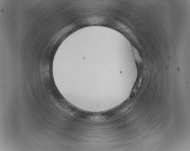 X0000079290212200612151710