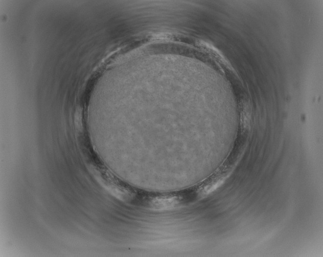 X0000079290213200612151710